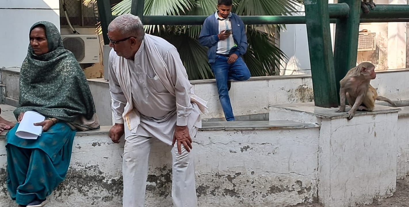 30सीटीके01...नागरिक अस्पताल में उत्पाद मचाते बंदर। संवाद