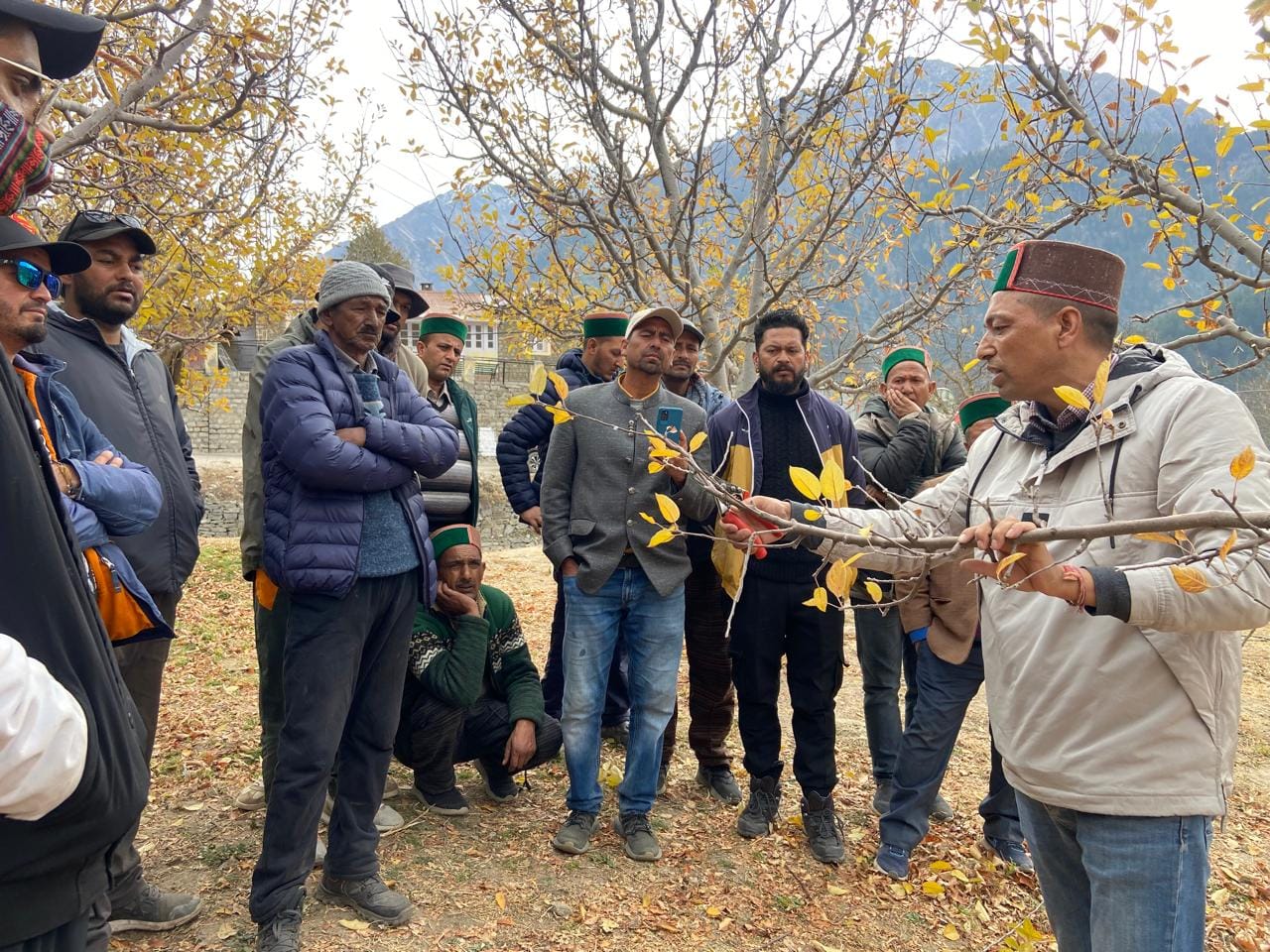 उद्यान विभाग द्वारा सांगला में कांट छांट प्रशिक्षण देते हुए डॉ अरुण नेगी। उद्यान विभाग द्वारा सांगला में कांट छांट प्रशिक्षण देते हुए डॉ अरुण नेगी।
