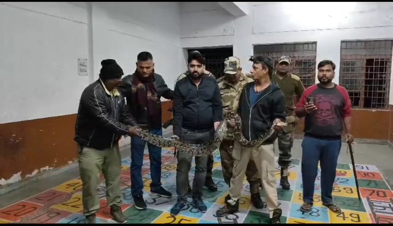 सेंट्रल स्कूल की नर्सरी कक्षा में निकला 12 फीट लंबा अजगर