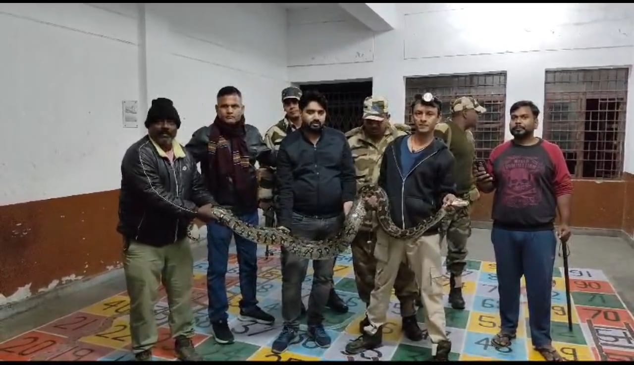 सेंट्रल स्कूल की नर्सरी कक्षा में निकला 12 फीट लंबा अजगर