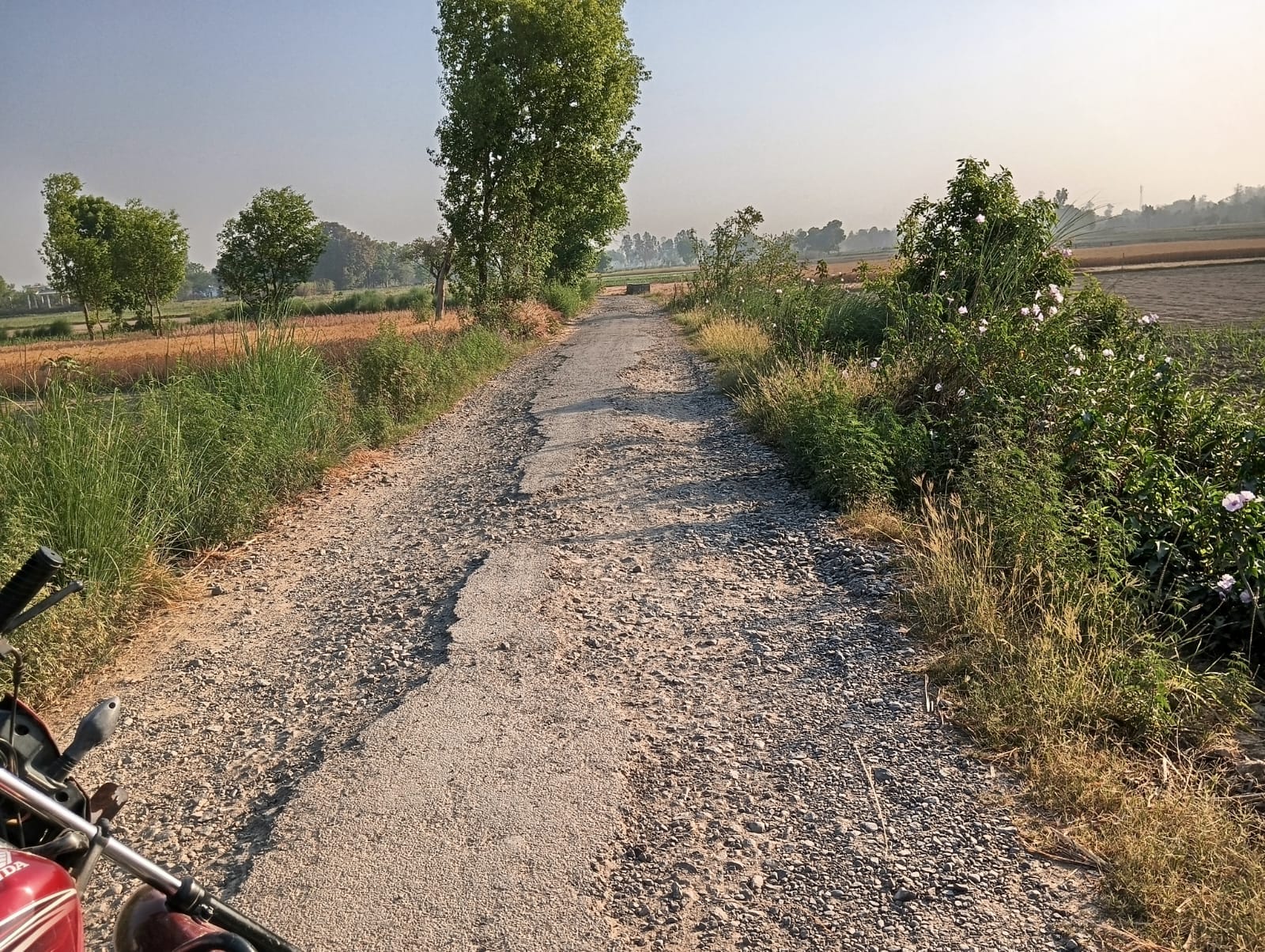 परसेहराबुजर्ग को जाने वाला मार्ग पड़ा जर्ज़र। संवाद