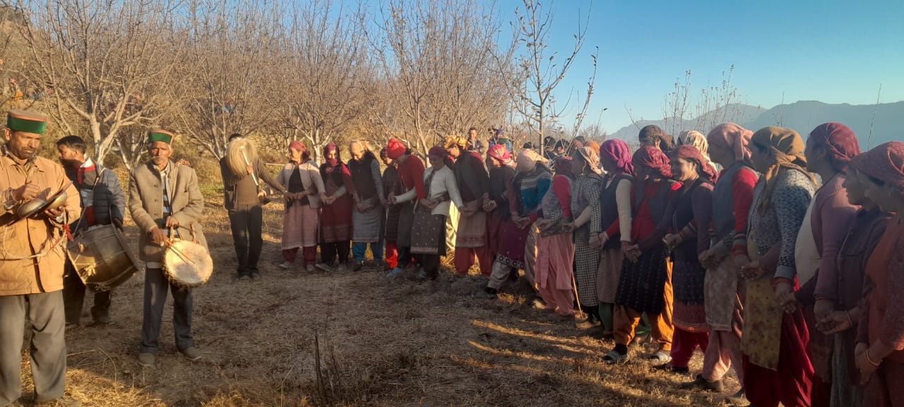 डंसा  नोग वैली स्थित ठाणा पाचे में आयोजित दियावली मेला में नाटी लगाती महिलाएं। संवाद