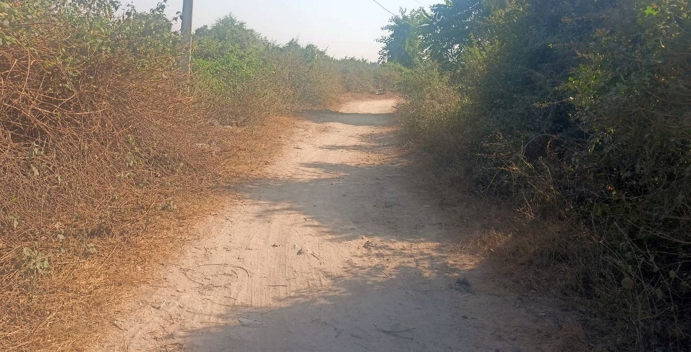 शहर की भटनागर कॉलोनी की कच्ची गली, जिसको पक्का किया जाएगा। संवाद शहर की भटनागर कॉलोनी की कच्ची गली, जिसको पक्का किया जाएगा। संवाद