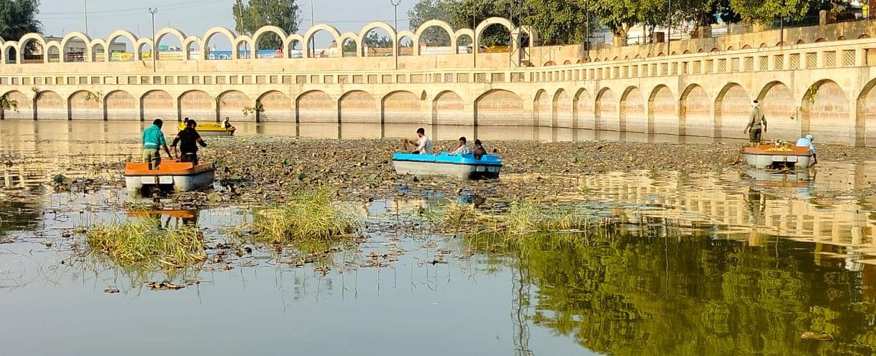 08जेएनडी02: रानी तालाब से सड़े हुए कमल के पौधे निकालते अन्ना टीम के सदस्य। स्वय 08जेएनडी02: रानी तालाब से सड़े हुए कमल के पौधे निकालते अन्ना टीम के सदस्य। स्वय