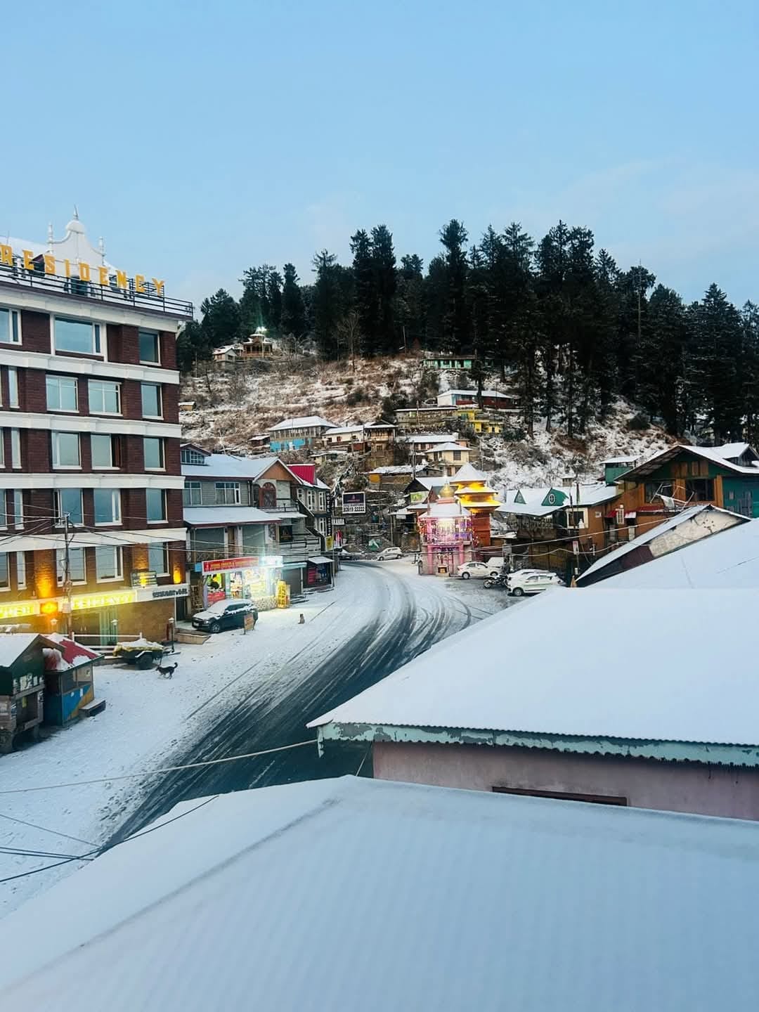 नारकंडा में सीजन  का पहला बर्फबारी होने  के बाद खूबसूरत नजारा। संवाद