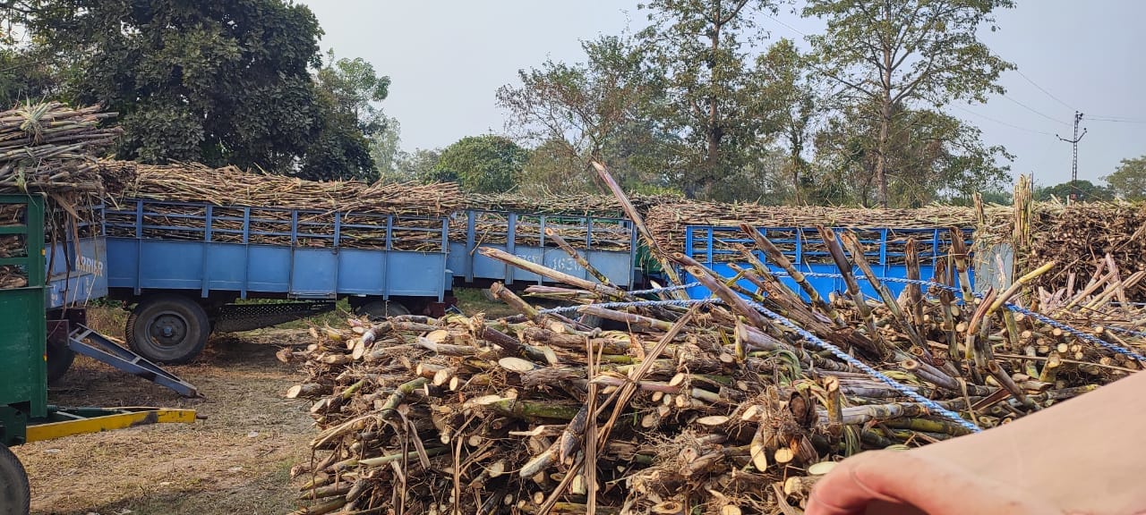 संपूर्णानगर मिल के गदनियां बी सेंटर पर लगी किसानों की भीड़। संवाद संपूर्णानगर मिल के गदनियां बी सेंटर पर लगी किसानों की भीड़। संवाद