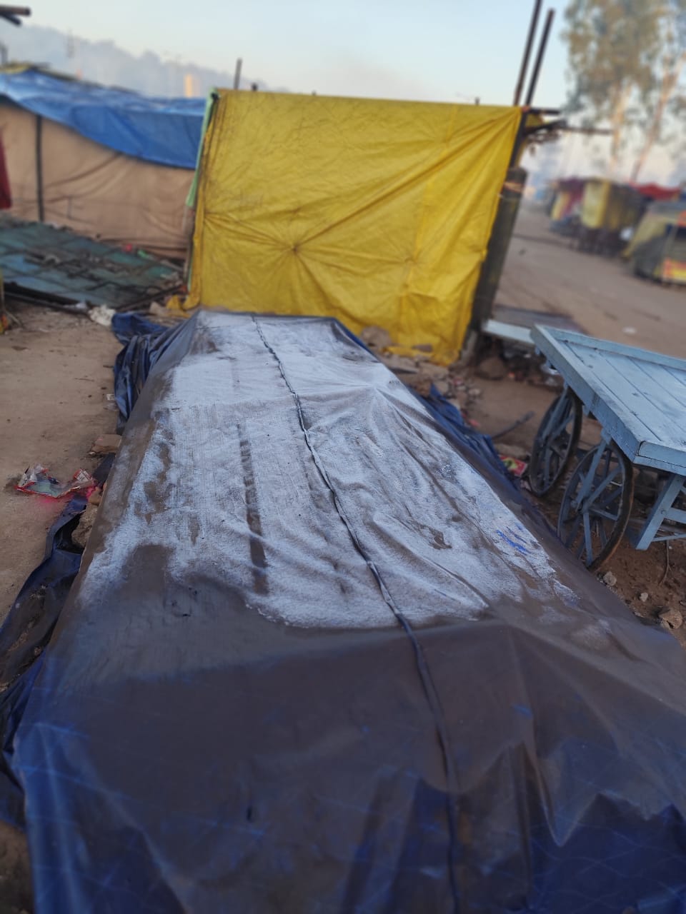 अमरकंटक में जमी ओस की परत और नर्मदा नदी में धुंध