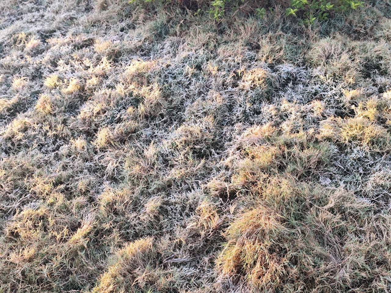 अमरकंटक में जमी ओस की परत और नर्मदा नदी में धुंध