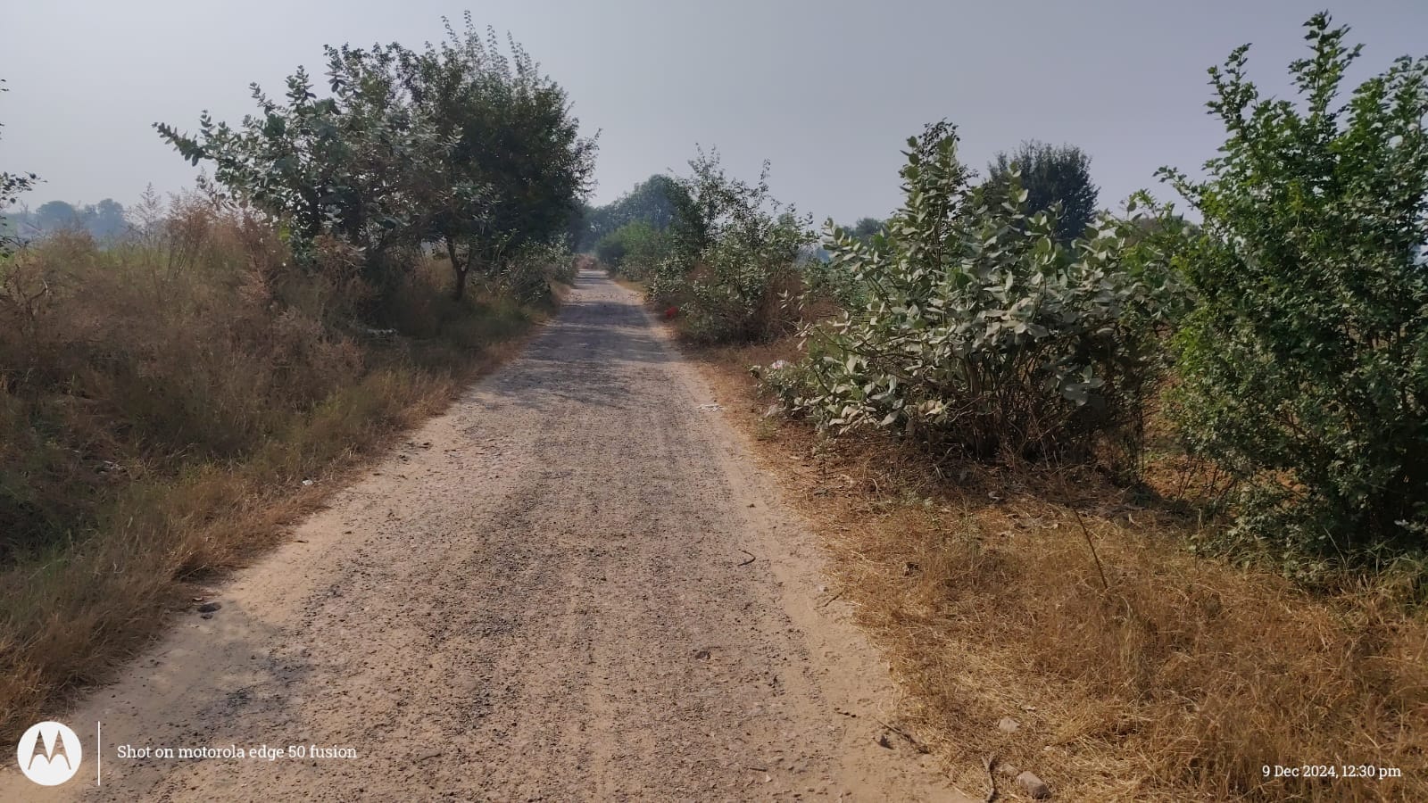 फोटो संख्या:51- मोहल्ला खटीकान में बदहाल सड़क मार्ग--संवाद