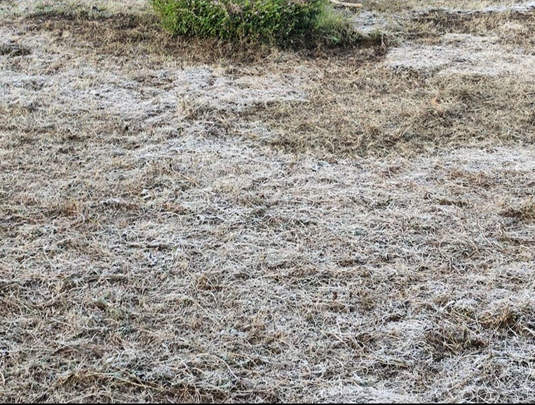 अमरकंटक में नर्मदा तट पर मैदान में बिछी बर्फ की चादर अमरकंटक में नर्मदा तट पर मैदान में बिछी बर्फ की चादर