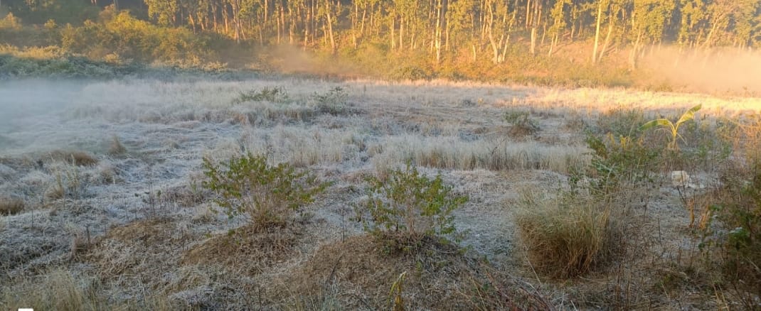 अमरकंटक में नर्मदा तट पर मैदान में बिछी बर्फ की चादर अमरकंटक में नर्मदा तट पर मैदान में बिछी बर्फ की चादर