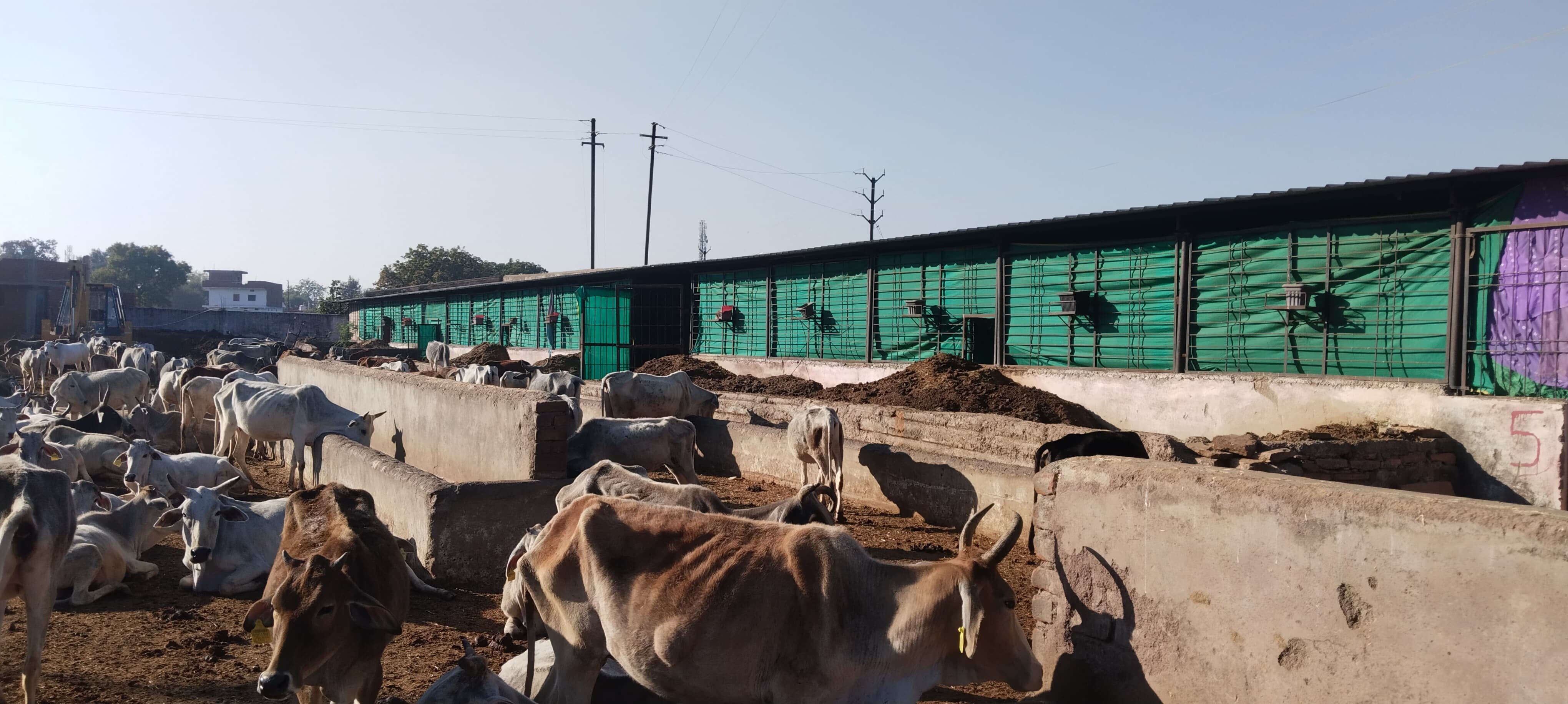 भगवान को उड़ाए गर्म कपड़े