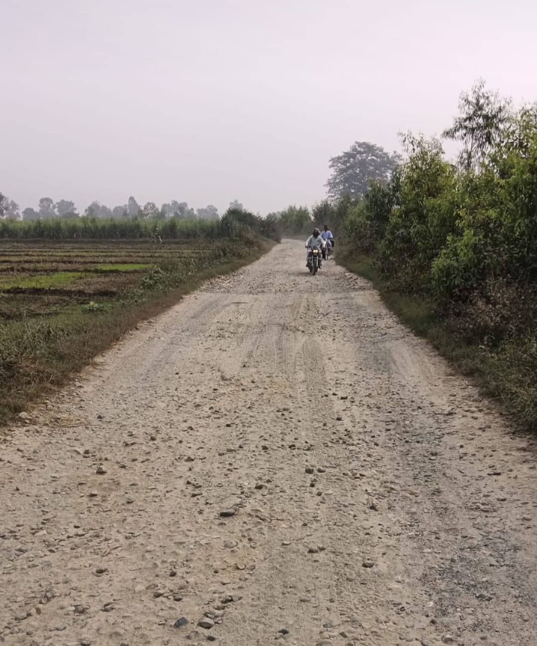 छोटेलाल दिवाकर।