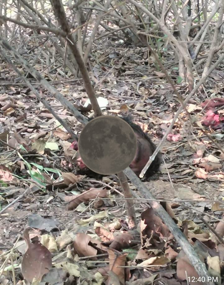 घटना स्थल पड़ा शव घटना स्थल पड़ा शव