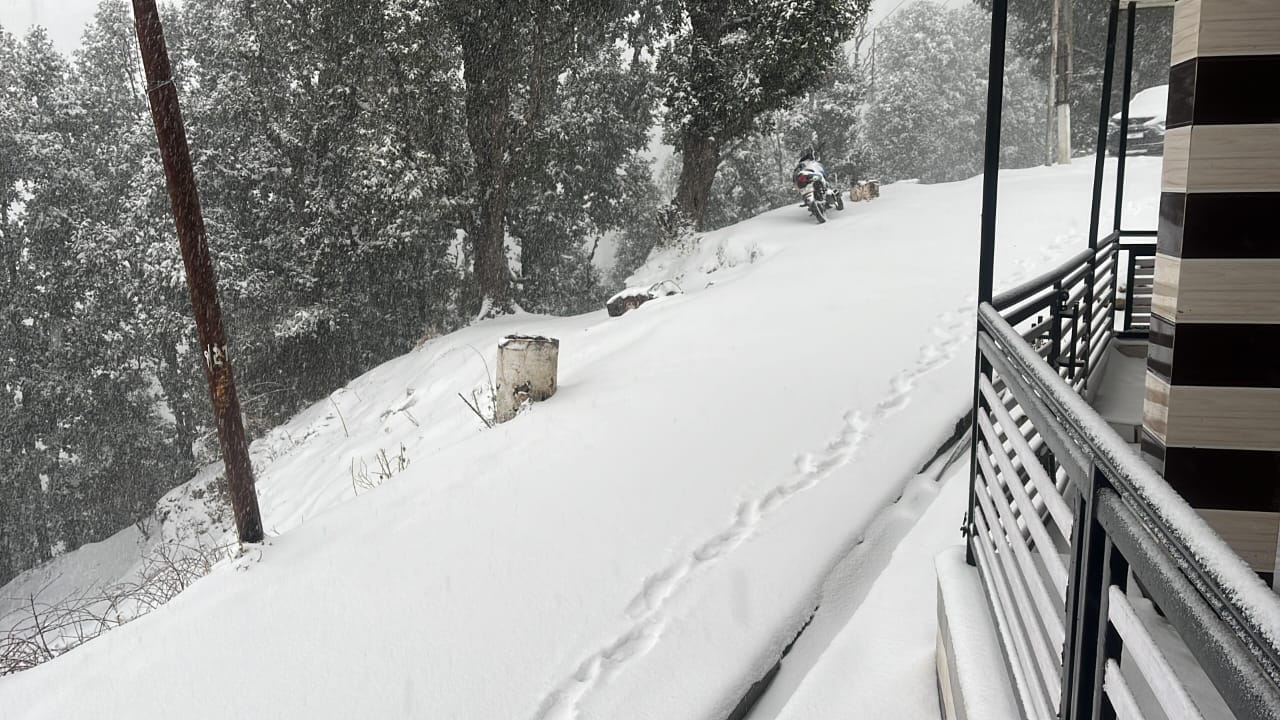 ददाहू में ठंड से बचने के लिए अलाव का सहारा लेते लोग। संवाद ददाहू में ठंड से बचने के लिए अलाव का सहारा लेते लोग। संवाद