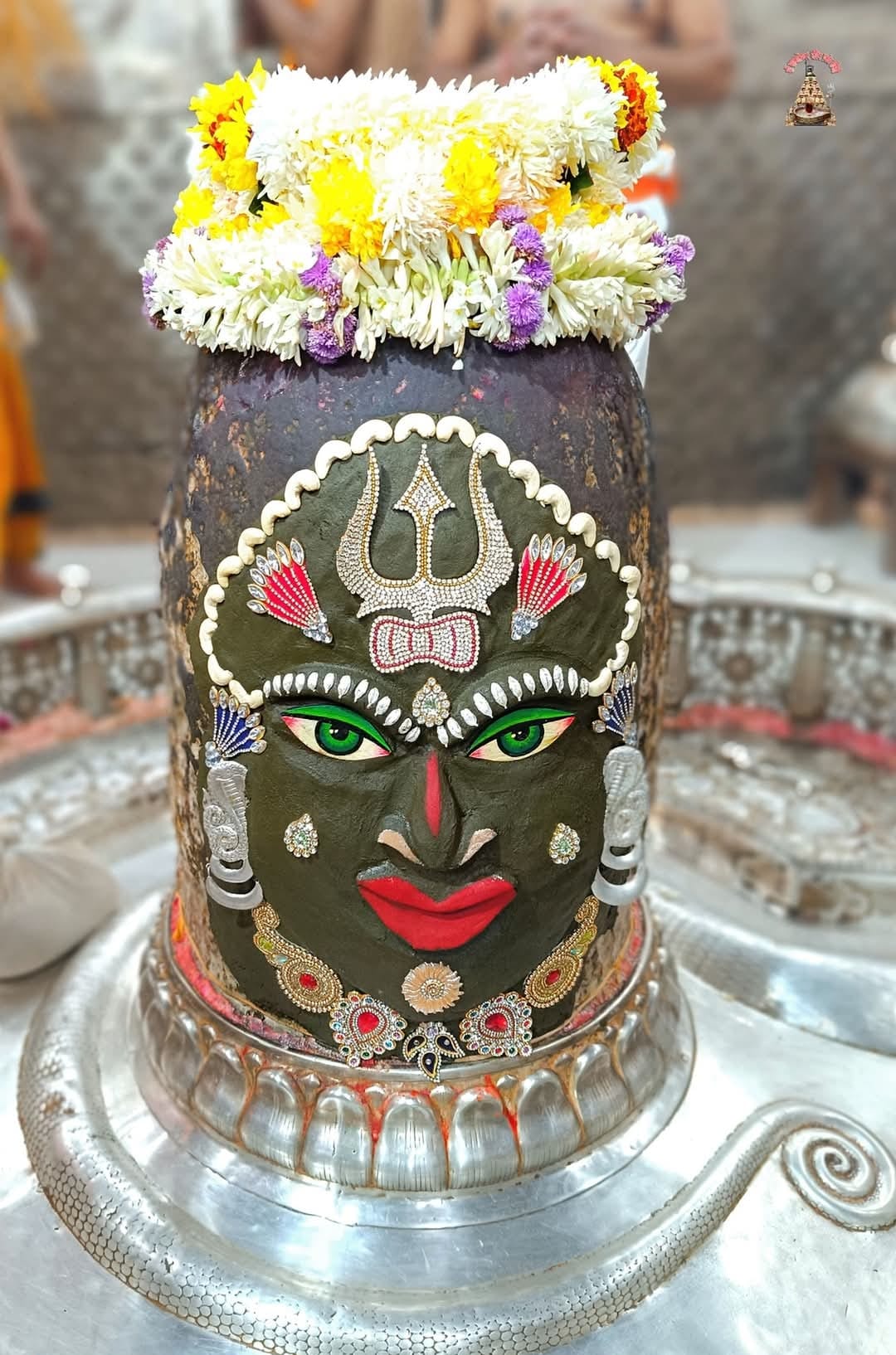 भस्म आरती में बाबा महाकाल ने दिए 12 ज्योतिर्लिंग स्वरूप मे दर्शन