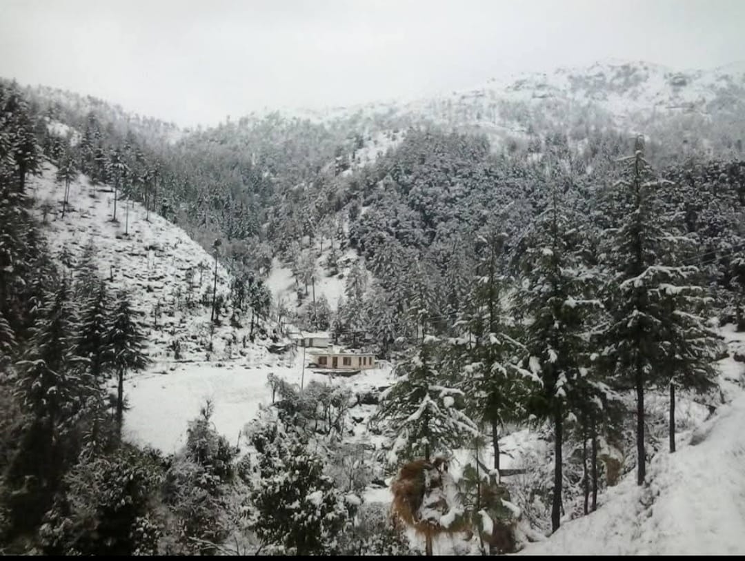 हरिपुरधार में हिमपात के बाद का दृश्य। संवाद