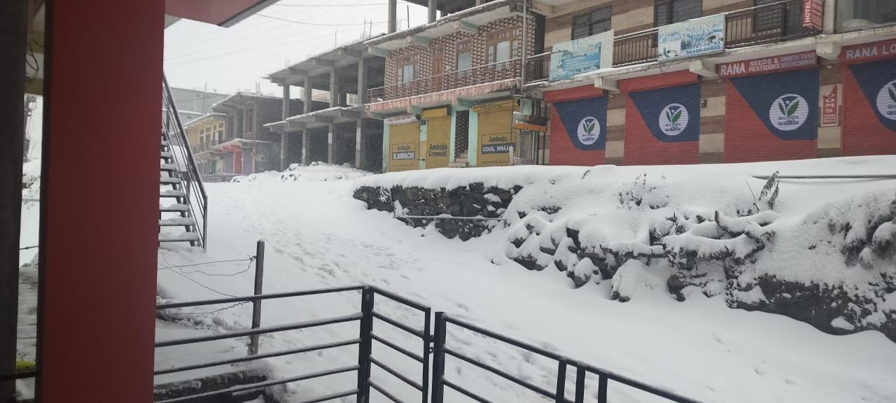 हरिपुरधार में हिमपात के बाद का दृश्य। संवाद