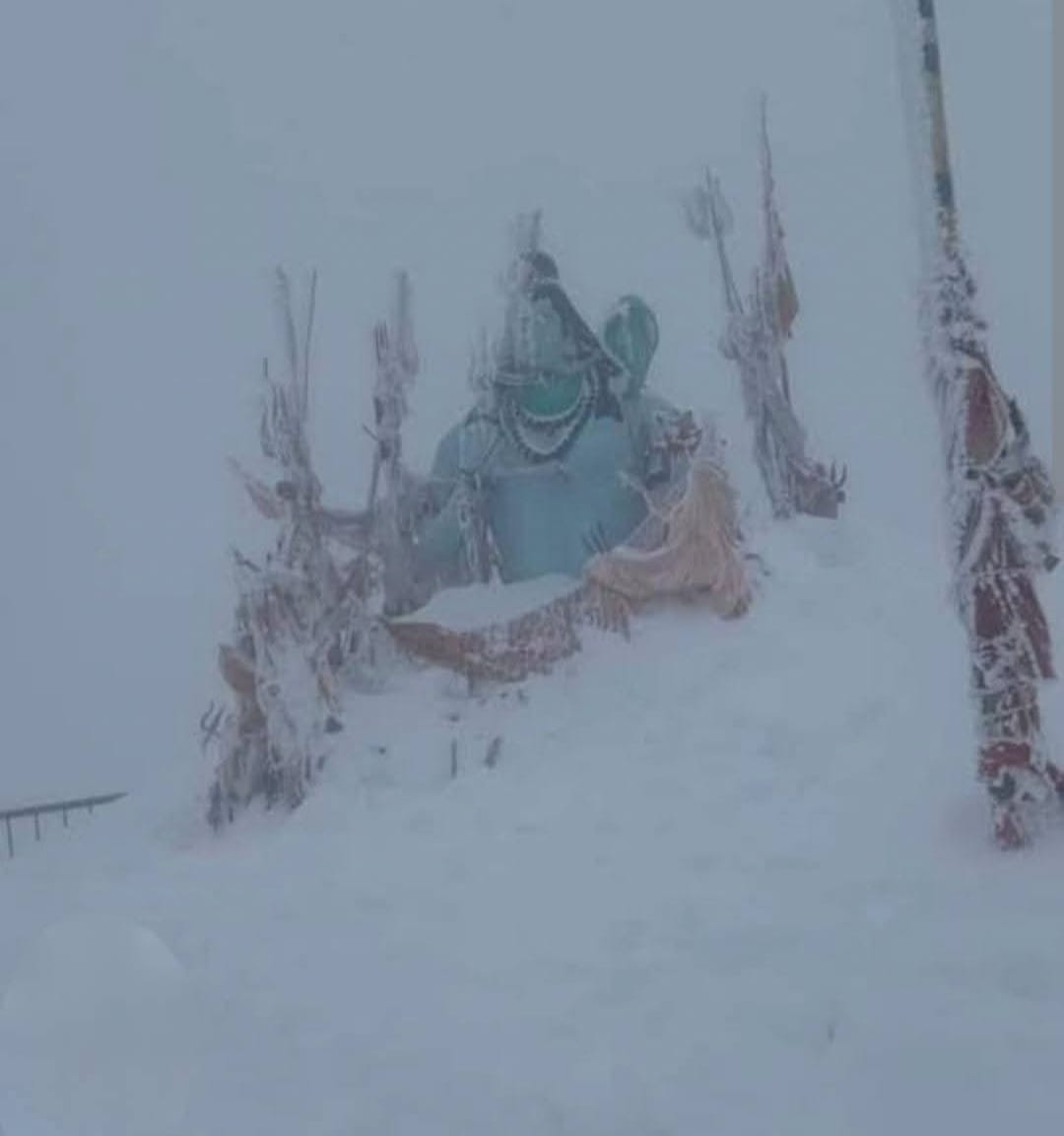 हरिपुरधार में हिमपात के बाद का दृश्य। संवाद