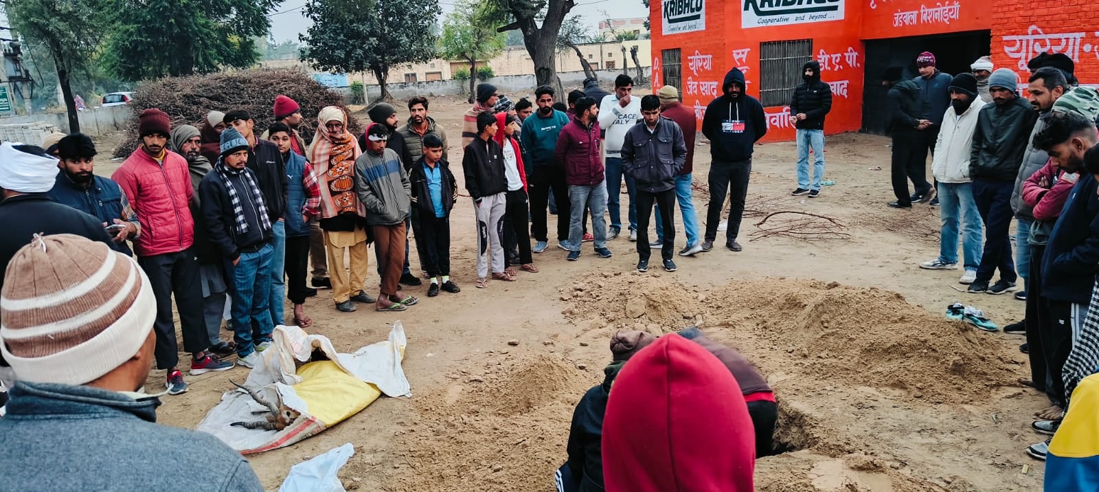 मारा गया काला हिरण। 