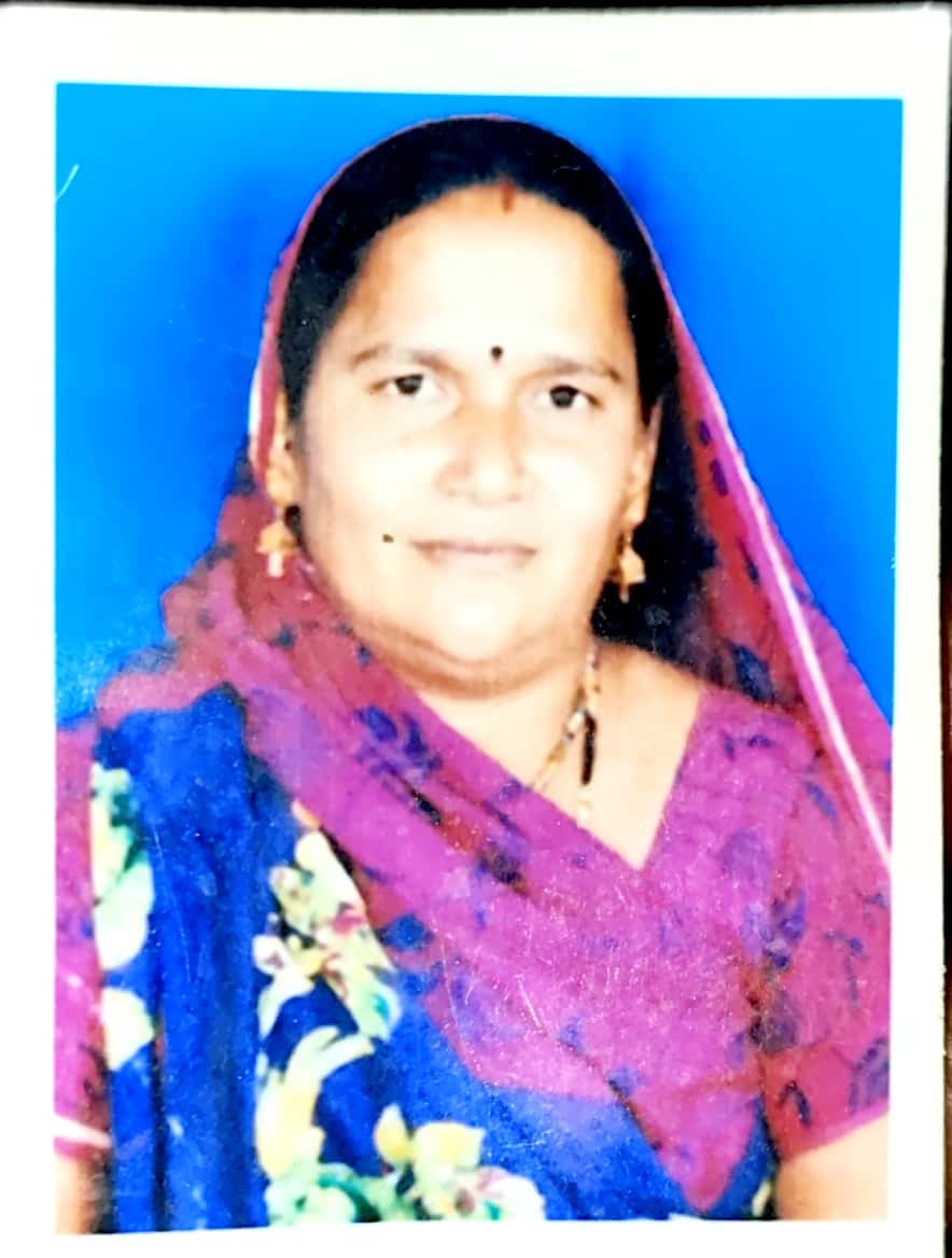 कलेक्टर से मिले भाजपा व कांग्रेस के पार्षद, कहा - नपा अध्यक्ष है निष्क्रिय, हम लाएंगे अविश्वास 