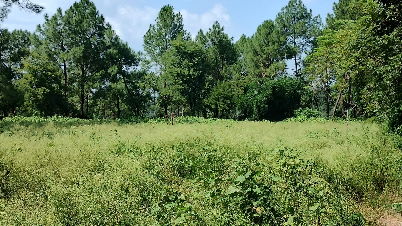 राजकुमार शर्मा सेवानिवृत्त बैंक मैनेजर।संवाद राजकुमार शर्मा सेवानिवृत्त बैंक मैनेजर।संवाद