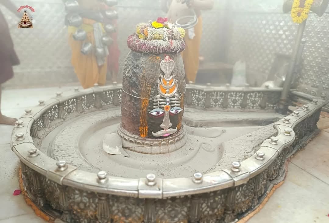 मस्तक पर त्रिपुंड और शेषनाग धारण कर सजे बाबा महाकाल, भस्म आरती मे गूंजा श्री महाकालेश्वर तव शरण