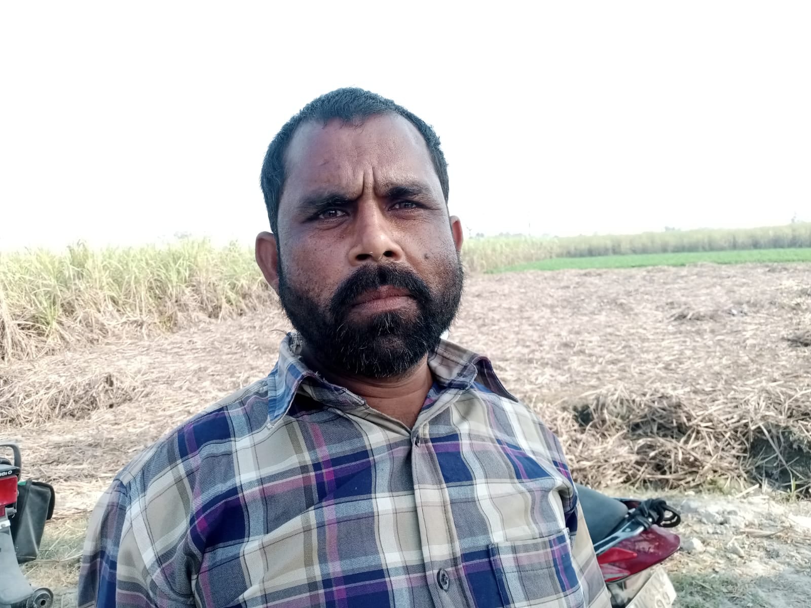 सड़क किनारे फसल को नष्ट कर खोदी गई खाईं। संवाद