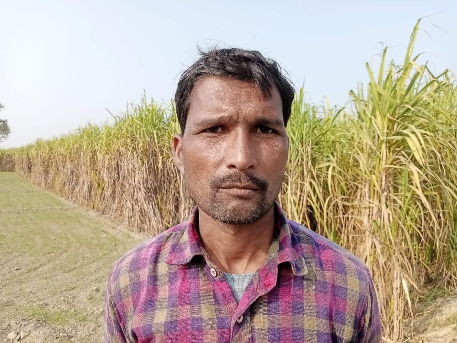 सड़क किनारे फसल को नष्ट कर खोदी गई खाईं। संवाद