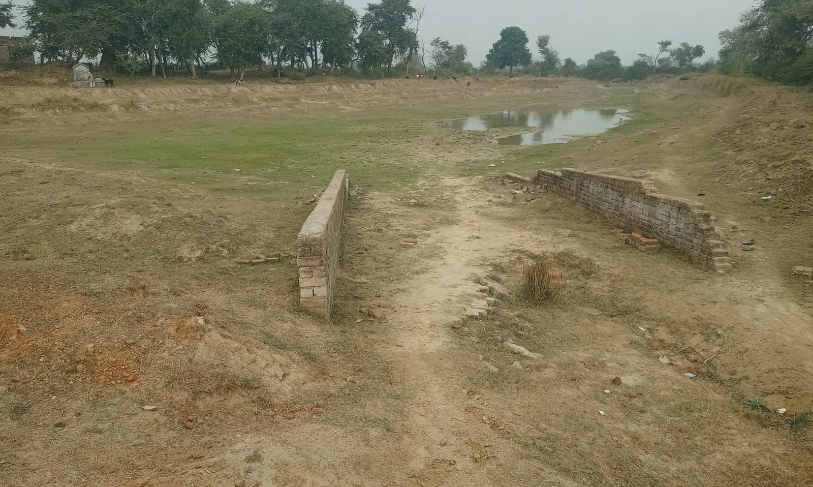 भमुईया भदसिया गांव में बदहाल पड़ा अमृत सरोवर। संवाद भमुईया भदसिया गांव में बदहाल पड़ा अमृत सरोवर। संवाद