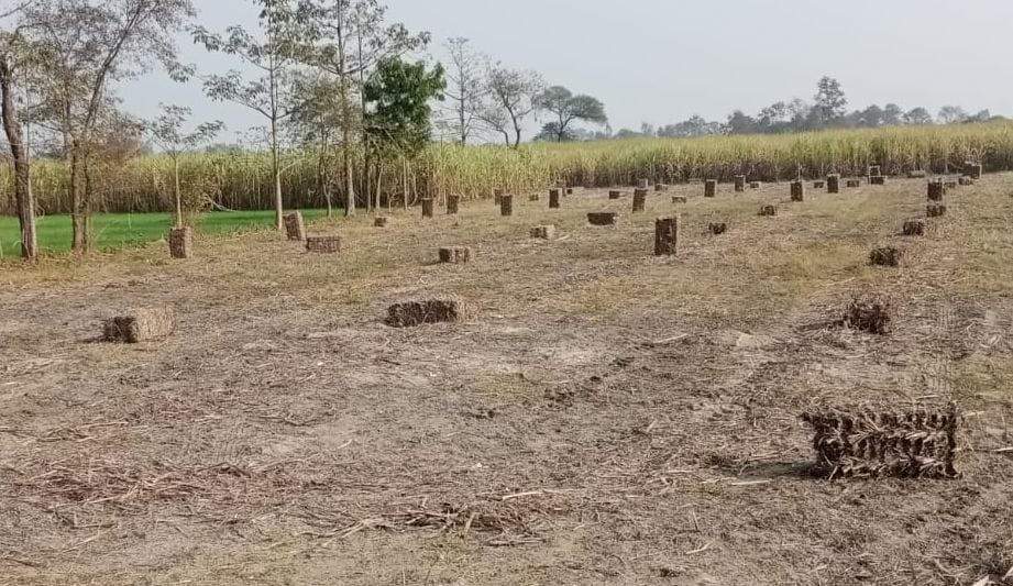 पराली को एकत्र करने वाली रैक मशीन। संवाद