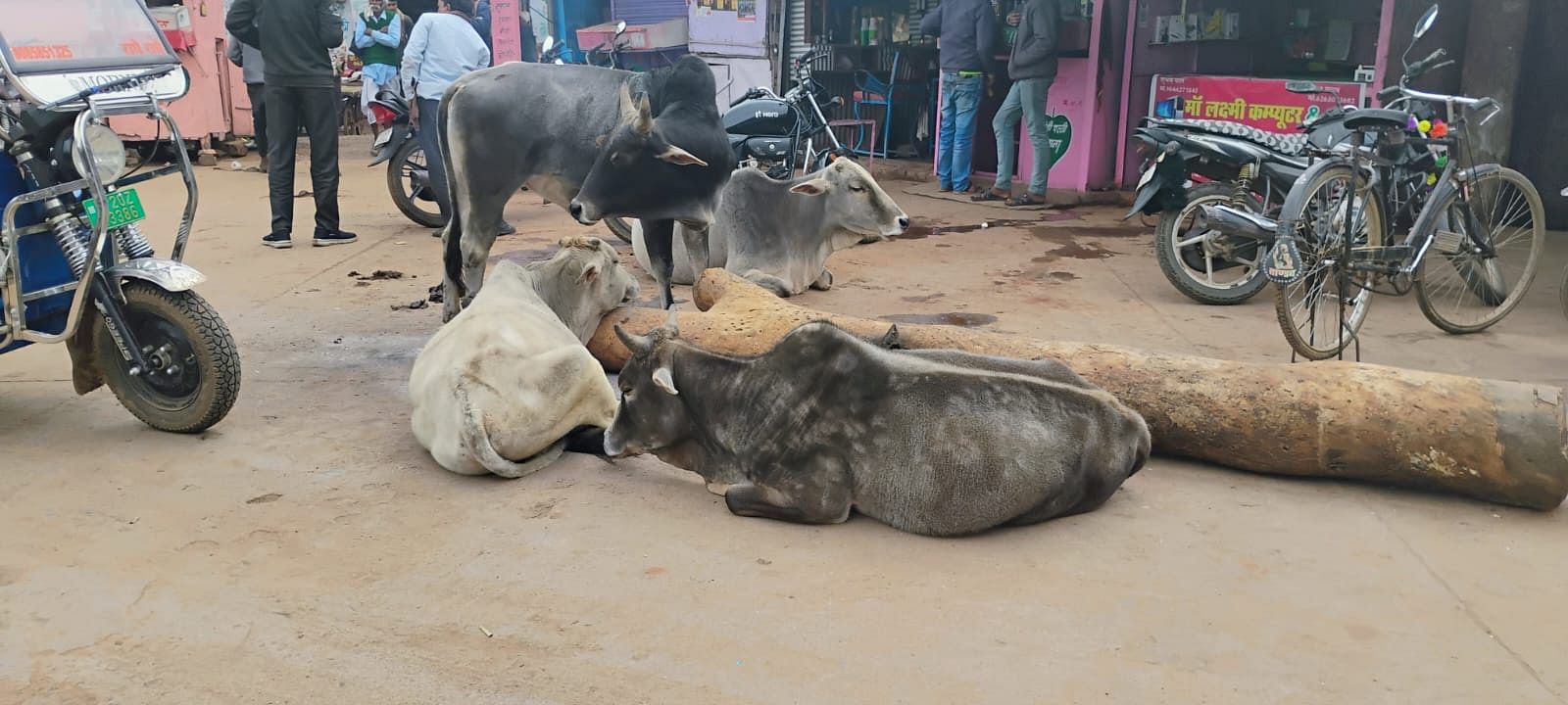 दिन में जलते रहे अलाव