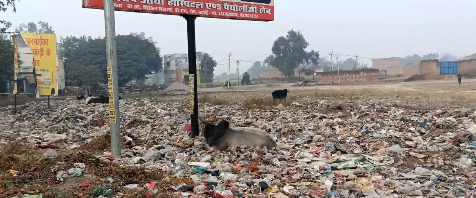 वजीरगंज में सड़क किनारे फैला कूड़ा। संवाद