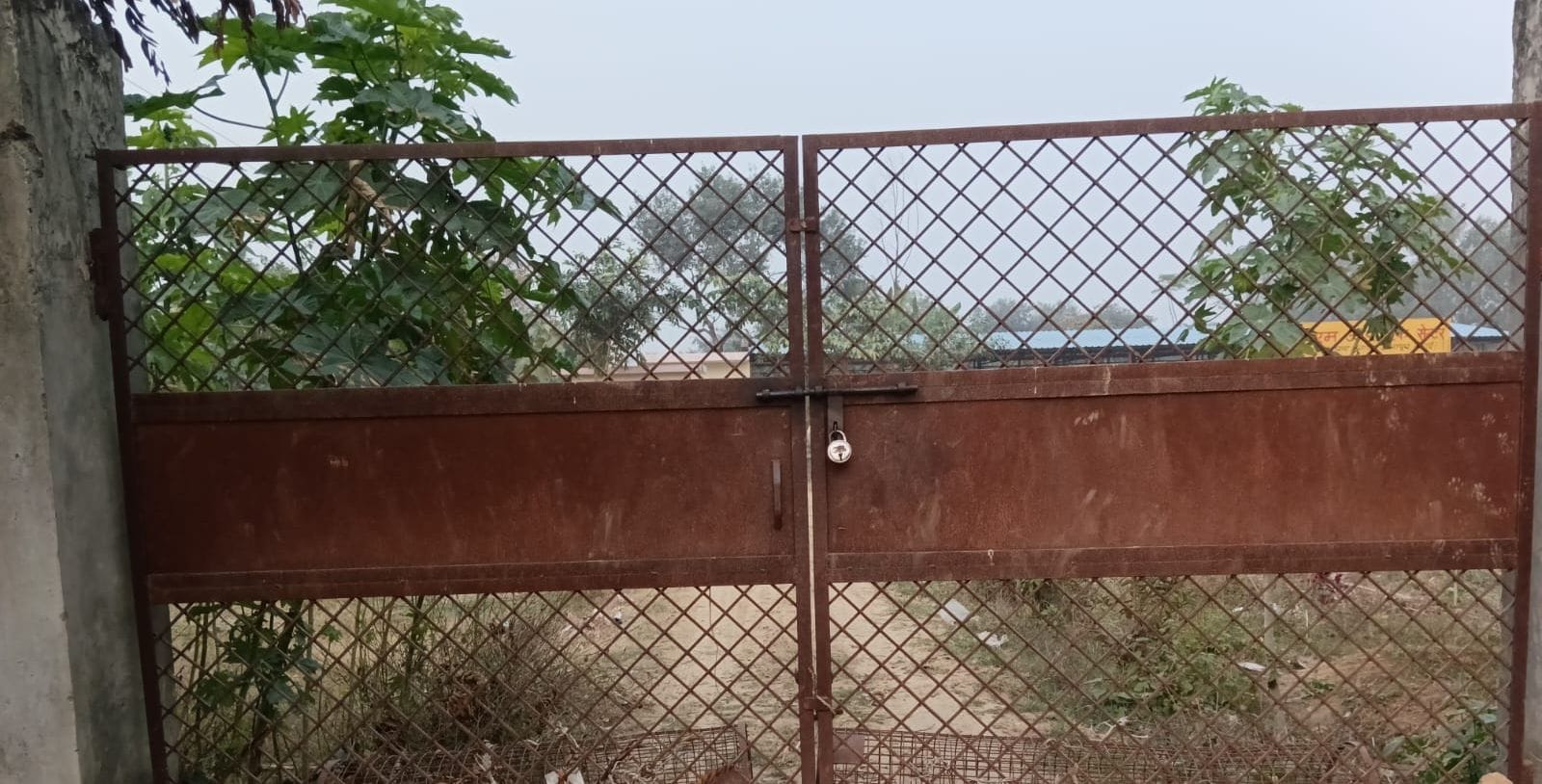 वजीरगंज में सड़क किनारे फैला कूड़ा। संवाद