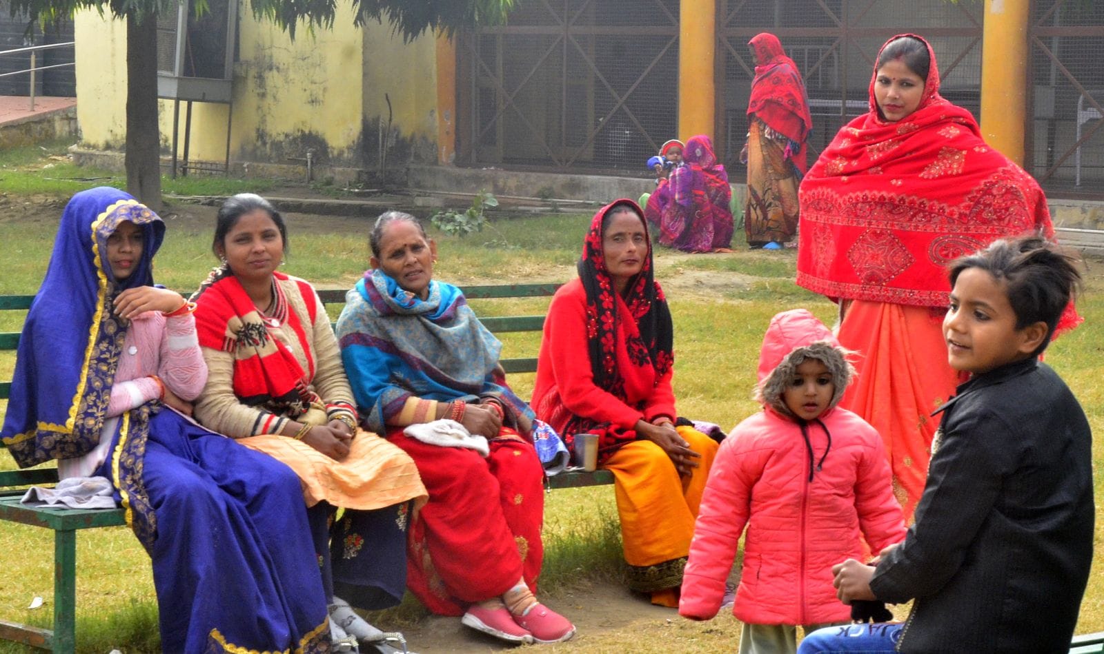 नवादा क्षेत्र में आलू की फसल। संवाद नवादा क्षेत्र में आलू की फसल। संवाद
