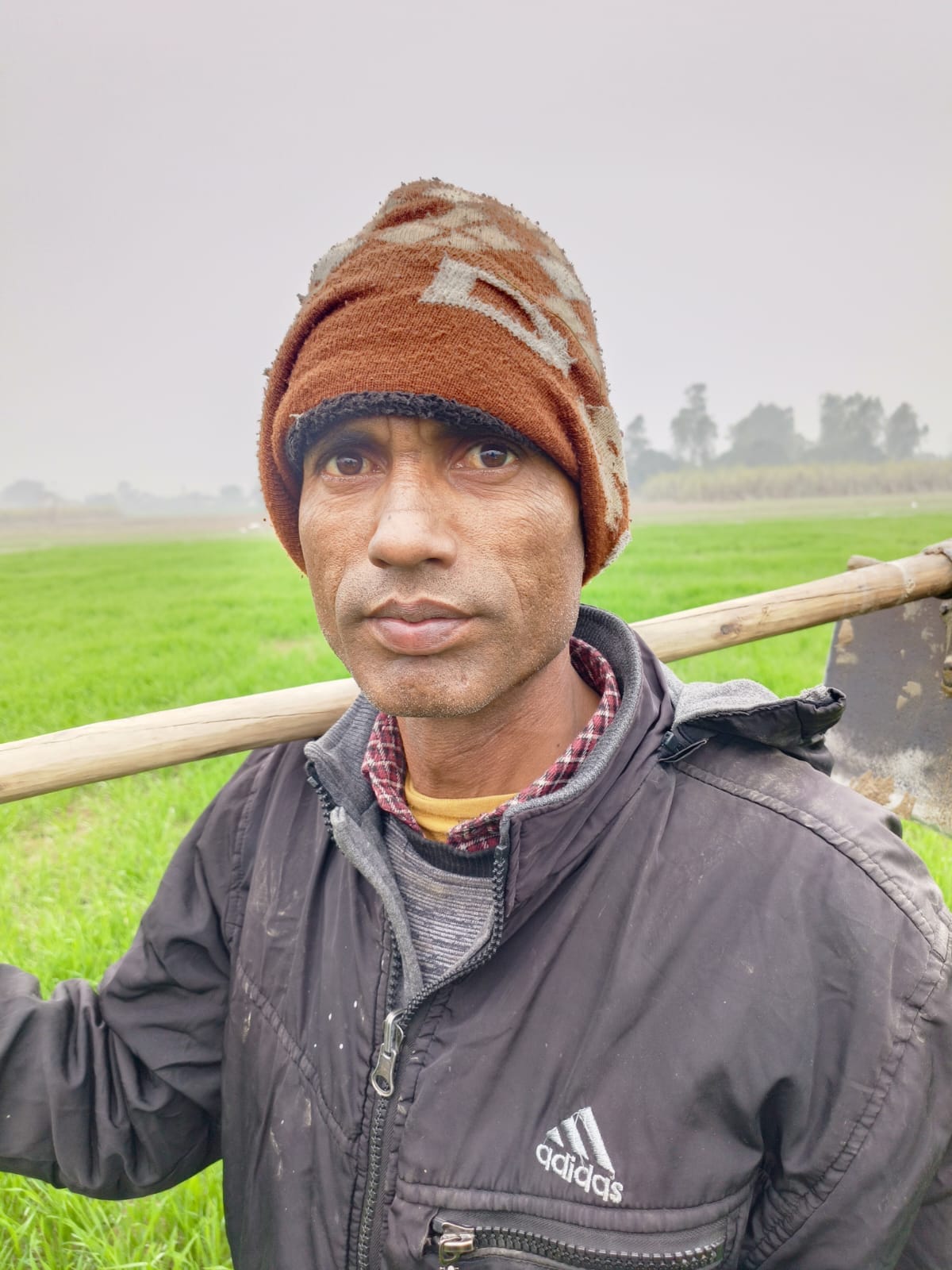 सौकतनगर गांव की सीमा में खेत में बने बाघ के पगचिह्न। संवाद