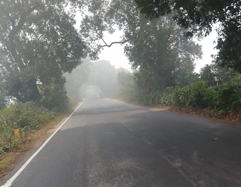 टनकपुर मार्ग पर न्यूरिया कस्बे के पास सड़क से गायब सफेद पटृी।संवाद टनकपुर मार्ग पर न्यूरिया कस्बे के पास सड़क से गायब सफेद पटृी।संवाद