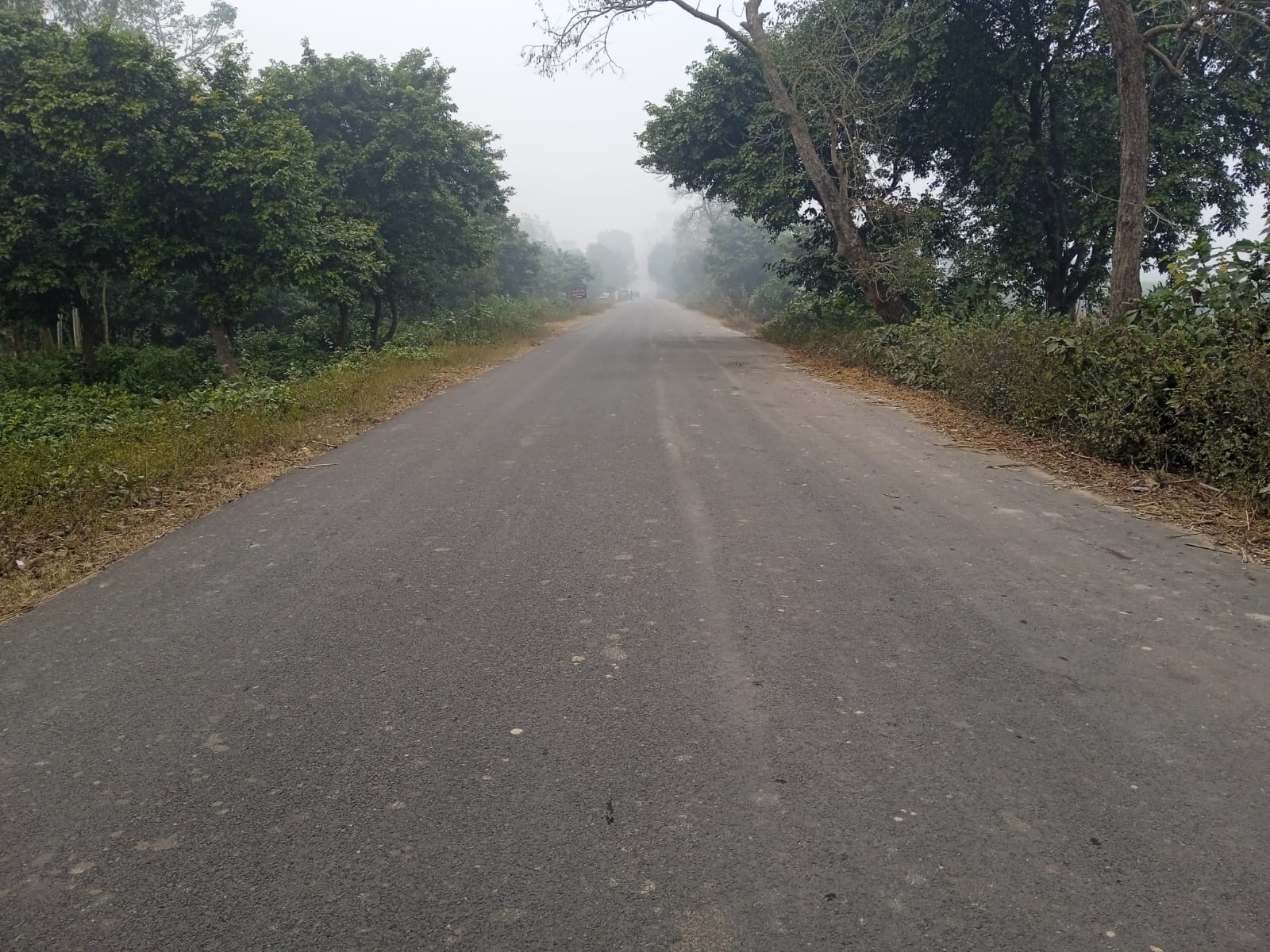 टनकपुर मार्ग पर न्यूरिया कस्बे के पास सड़क से गायब सफेद पटृी।संवाद टनकपुर मार्ग पर न्यूरिया कस्बे के पास सड़क से गायब सफेद पटृी।संवाद