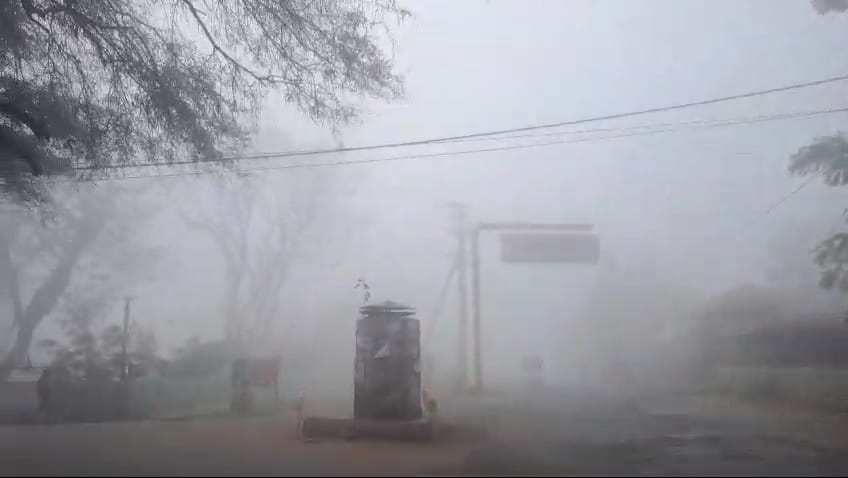 छाया घना कोहरा छाया घना कोहरा