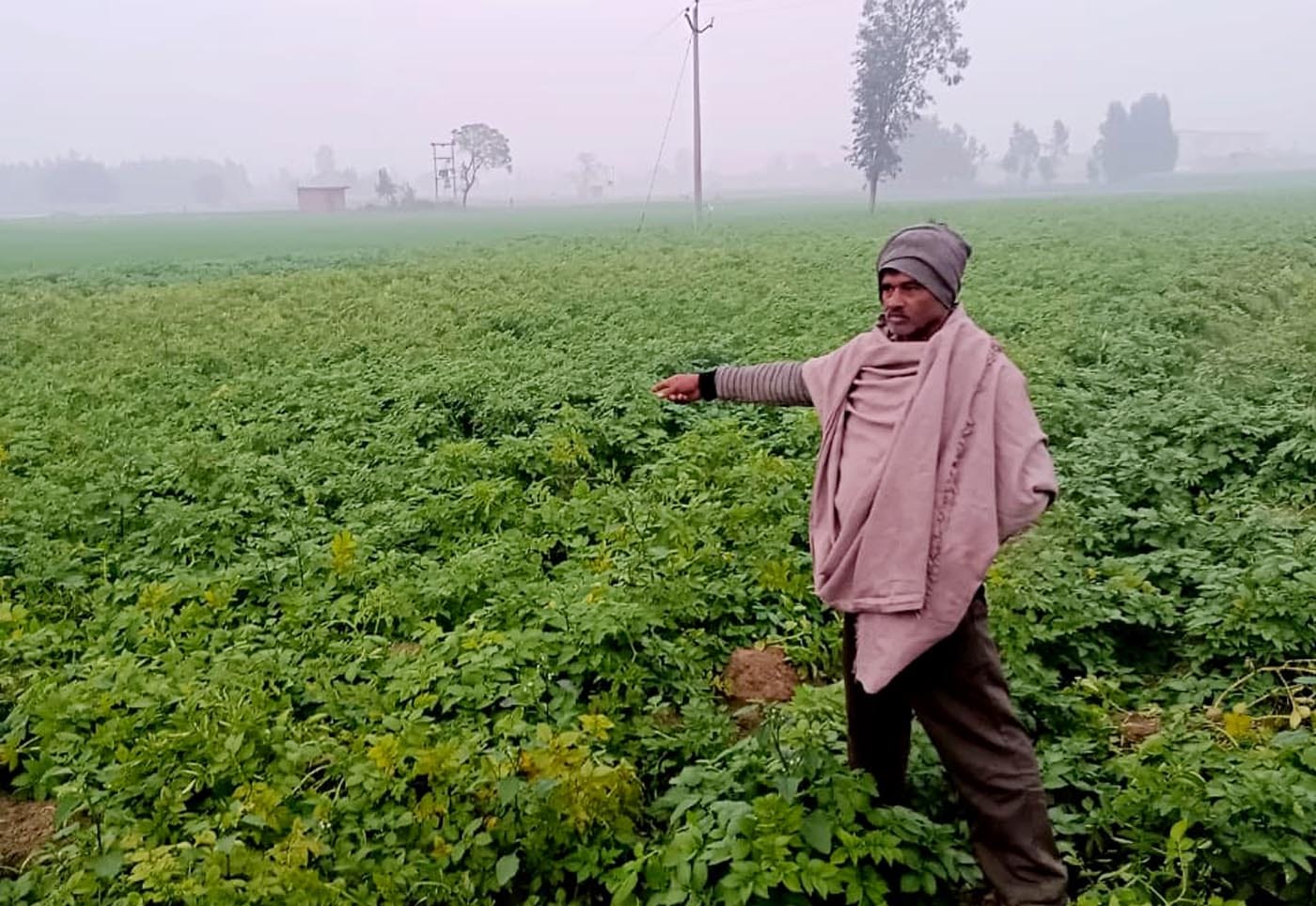 मुजरिया के गांव जिजाहट की गोशाला पर प्रदर्शन करते ग्रामीण। संवाद