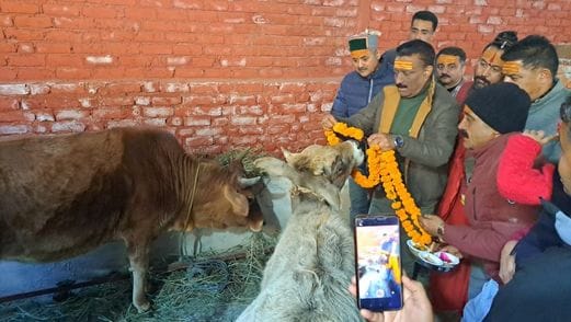 कोटेश्वर गौधाम खेखर, कुमारसैन का लोकार्पण करते विधायक कुलदीप सिंह राठौर। संवाद कोटेश्वर गौधाम खेखर, कुमारसैन का लोकार्पण करते विधायक कुलदीप सिंह राठौर। संवाद