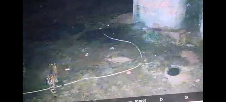 पहले फोटो में वन विभाग के अधिकारी ग्रामीणों को सतर्क करते हुए वहीं दूसरी में मंदिर के सीसीटीवी पहले फोटो में वन विभाग के अधिकारी ग्रामीणों को सतर्क करते हुए वहीं दूसरी में मंदिर के सीसीटीवी