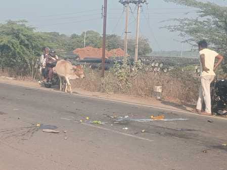 वन कर्मियों का क्षतिग्रस्त वाहन वन कर्मियों का क्षतिग्रस्त वाहन