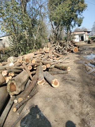 उपमंडल बल्ह के रौ-भयारटा में डंप की फ्यूल वुड की लकड़ी को जब्त करते विभाग के अधिकारी। संवाद उपमंडल बल्ह के रौ-भयारटा में डंप की फ्यूल वुड की लकड़ी को जब्त करते विभाग के अधिकारी। संवाद