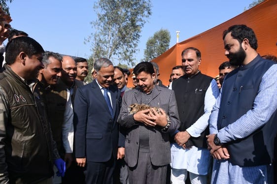 27सीटीके22...इलेक्ट्रिक कार्ट से चिड़ियाघर की यात्रा करते मंत्री राव नरबीर सिंह। स्रोत: संवाद 27सीटीके22...इलेक्ट्रिक कार्ट से चिड़ियाघर की यात्रा करते मंत्री राव नरबीर सिंह। स्रोत: संवाद