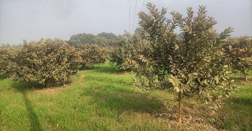 आंबेडकर पार्क के पास सवारियां भरते ऑटो चालक। संवाद आंबेडकर पार्क के पास सवारियां भरते ऑटो चालक। संवाद