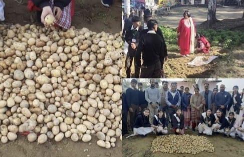 बिलासपुर के डंगार स्कूल में आलू की पैदावार को दिखाती छात्रा व अन्य । संवाद