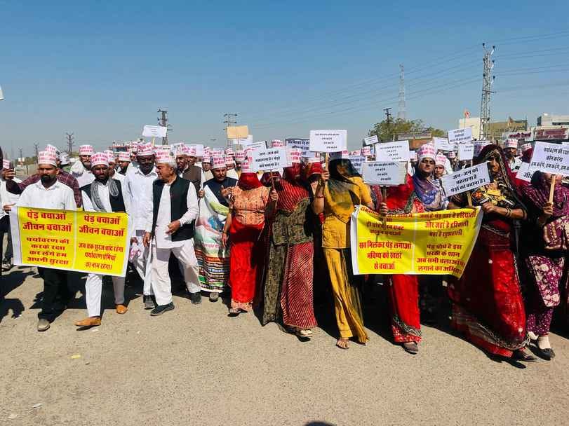 प्रकृति बचाओ आंदोलन के तहत सांचौर बंद, कठोर कानून बनाकर राज्य वृक्ष खेजड़ी की कटाई पर पूर्णतया 