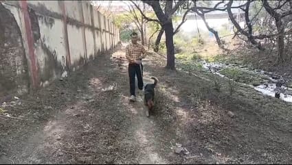 पांड्याखेड़ी ब्रिज के नीचे से मिली 11वीं के छात्र की लाश, गले मे बंधी थी रस्सी मुंह में ठूस रखा पांड्याखेड़ी ब्रिज के नीचे से मिली 11वीं के छात्र की लाश, गले मे बंधी थी रस्सी मुंह में ठूस रखा