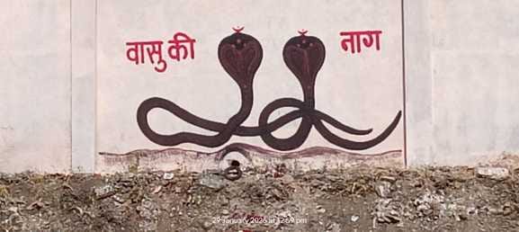 सड़क निर्माण मे तोड़ दी नाग महाराज की बांबी, अब प्रत्यक्ष दर्शन दे रहे नागराज जानिए क्या है माम सड़क निर्माण मे तोड़ दी नाग महाराज की बांबी, अब प्रत्यक्ष दर्शन दे रहे नागराज जानिए क्या है माम